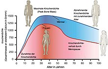 Knochendichte im Alter